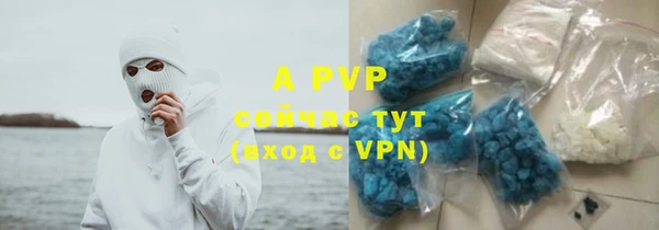 ПСИЛОЦИБИНОВЫЕ ГРИБЫ Россошь