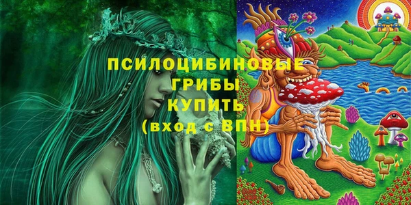 a pvp Рославль