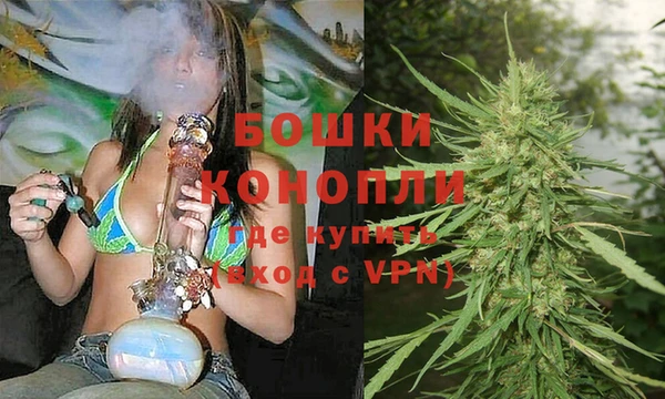 ПСИЛОЦИБИНОВЫЕ ГРИБЫ Россошь