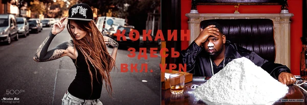 ПСИЛОЦИБИНОВЫЕ ГРИБЫ Россошь