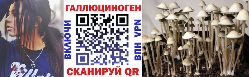 ссылка на мегу tor  Катав-Ивановск  Псилоцибиновые грибы Magic Shrooms  продажа наркотиков 